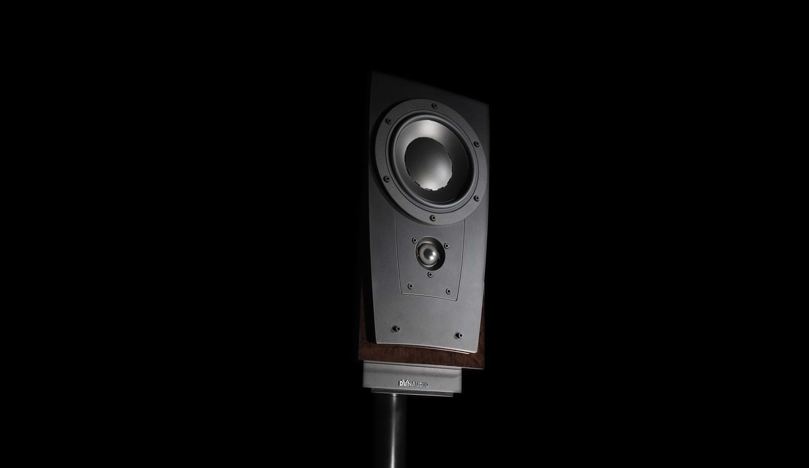 dyn_contour_s14_le_mokka_black